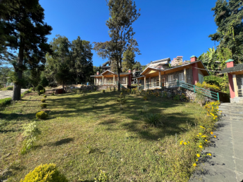 Full Day Local Sightseeing Tour of Kalimpong