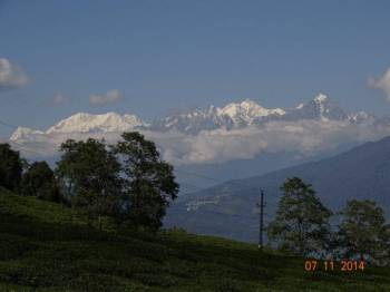 Explore Temi Tea Garden Tour