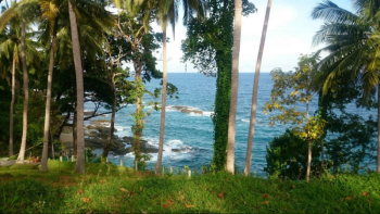 Packages in Havelock