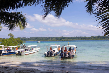 Packages in Havelock