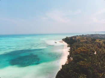 Packages in Havelock