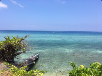 Packages in Havelock