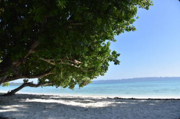 Packages in Havelock