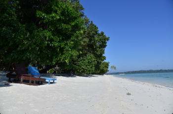 Packages in Havelock