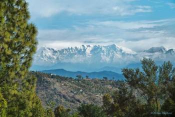 Ranikhet Tour Packages