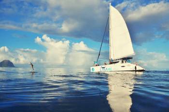 Catamaran Cruise to Ile Aux Bénitiers: Dolphin watch, Crystal Rock & Lunch Tour