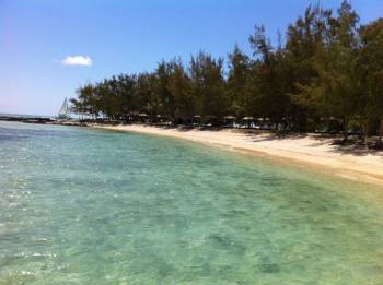 Catamaran Experience to Ile aux Cerfs: including Parasailing, Lunch, GRSE & Transfer Tour