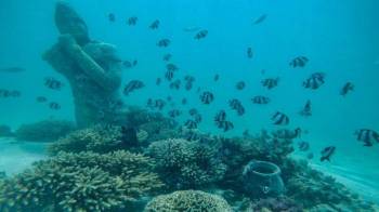 Catamaran to Ile aux Cerfs: Undersea walk, Parasailing, Tube Riding, Lunch, GRSE Tour
