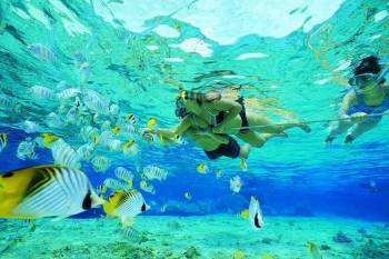 Memorable Catamaran Trip to Ile Aux Cerfs: Full Day Including Tube Riding, Lunch & Grse Tour