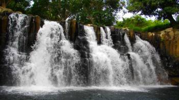 The Gorgeous South of Mauritius: Full Day Tour Including Tea Route & Crocodile Park