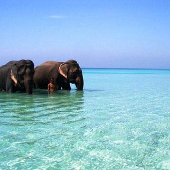 Andaman Package 4 Nights and 5 Days