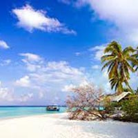 Easy Escape With Coral Island North Bay And Havelock Island Tour