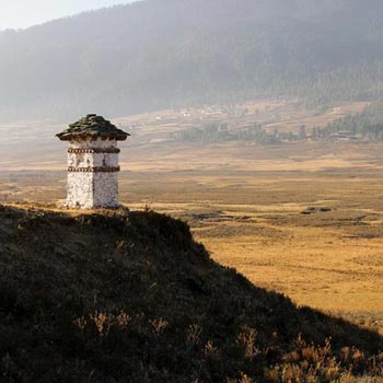 Blink to Phobjikha Tour