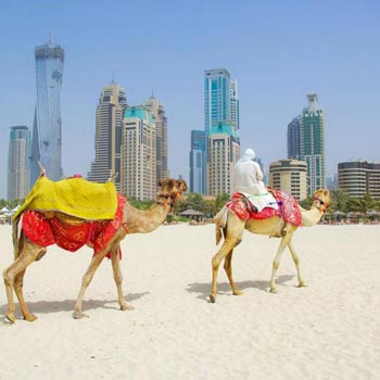 Majestic Dubai Tour