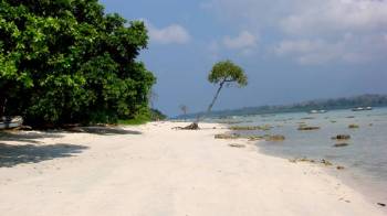 Packages in South Andaman
