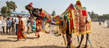 Rajasthan Heritage With Jaipur, Jodhpur And Udaipur Experience