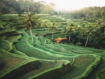Bali Dream Holiday