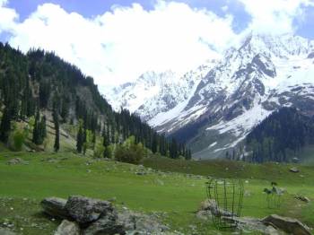 Kashmir Valley Tour 07Days