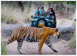 Rajasthan Village & Wildlife Photography Expedition Tour