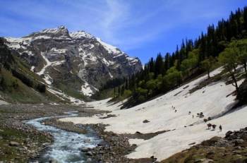 Tour Packages For Manali