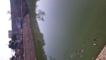 Packages in Vrindavan