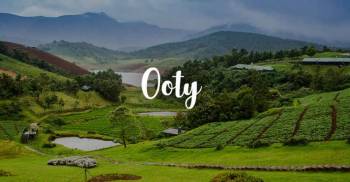 Mysore to Ooty Tour