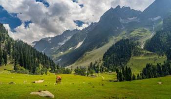 8 Night - 9 Days Kashmir Package