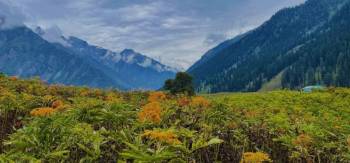 6 Nights - 7 Days Kashmir Standard Package