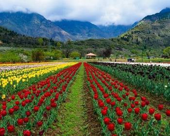 Kashmir Package 7 Night - 8 Days Ex - Jammu