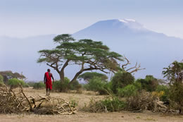 2D Nairobi To Amboseli Park Ending Diani - Malindi - Mombasa Kenya Tour