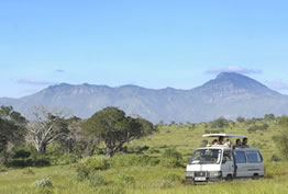 6 Days Masai Mara - Lake Nakuru - Amboseli - Tsavo West Budget Safari Tour