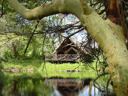 5D Tsavo East-Taita Hills Game Sanctuary-Tsavo West-Amboseli Budget - Luxury Tour From Mombasa