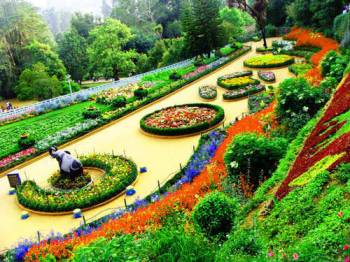 Ooty Tour Packages