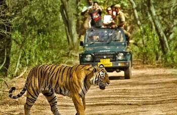 One Night Stay Package for Corbett National Park Tour