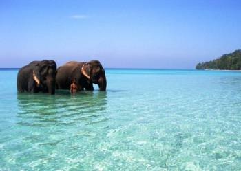 7 Days Andaman Tour
