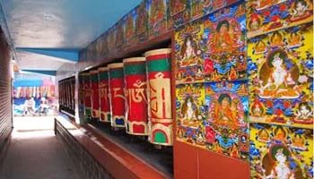 All Himachal Tour From Chandigarh
