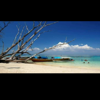 Port Blair Havelock Neil 8 Days 7 Nights Tout