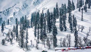 Shimla From Chandigarh 2 Night - 3 Days