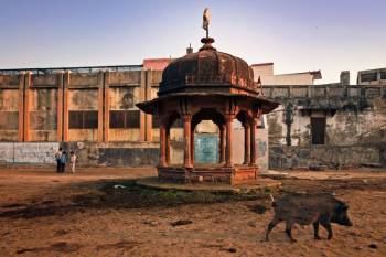 Packages in Vrindavan