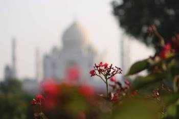 Day Trip to Taj Mahal from Delhi By Private Car