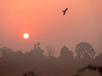 Private Taj Mahal At Sunrise and Agra Day Tour from Delhi