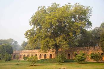 Same Day Agra Tour