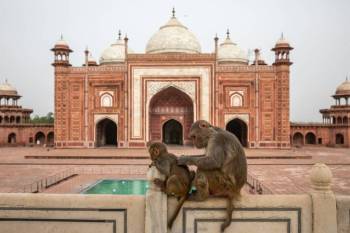 Delhi Agra Tour Package 2 Days
