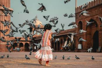 Same Day Delhi Tour