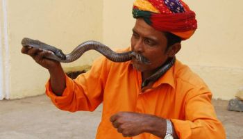 4 Days Golden Triangle Tour Package