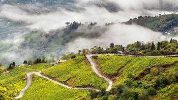 Lachung Tour Packages