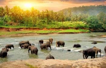 4 Nights - 5 Days Kerala Tour Package