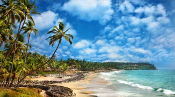 5 Nights Munnar - Alleppey - Kovalam Package