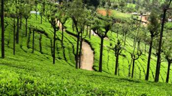 5 Night 6 Days Ooty  Tour Packages