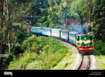 5 Night 6 Days Ooty  Tour Packages
